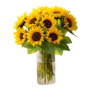Fiori di Girasole Premium Freschi, Stelo Robusto 75cm, Forma Rotonda Grande, Petali Freschi, Foglie di Girasole per Eventi - Product Image 5