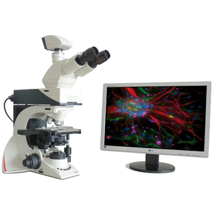 Lampe biologique verticale LED DM3000 : Un choix pour les laboratoires cliniques et biologiques - Product Image 2