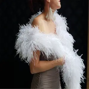 2 Yards Ostrich Feather White Boa Fluffy Strips Feathers for DIY Crafting,  Colorful Feathers Crafting Party Dress Christmas Tree Halloween Costume