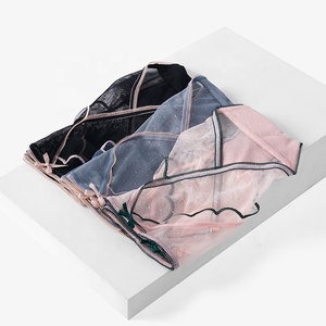 Factory Custom Girls Breathable Mesh See Through <strong>Underwear</strong> Japan Ladies Panties Transparent Mid <strong>Waist</strong> Lace Panties for Women - Product Image 5