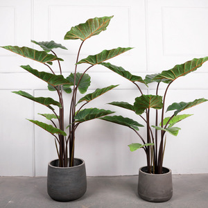 Planta Artificial de Alocasia Sanderiana, Árbol de Taro Arcoíris Nórdico Grande, Árbol Artificial de Plástico en Maceta para Decoración del Hogar - Product Image 1