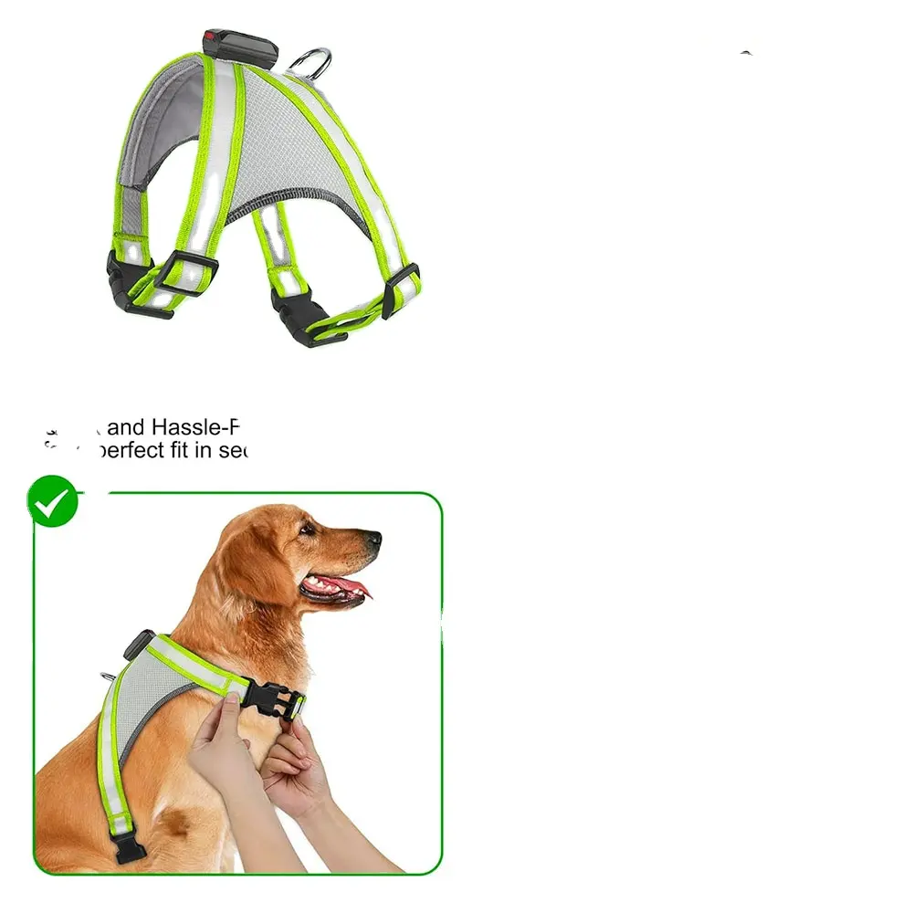 Rompi Harness hewan peliharaan lampu isi ulang USB, 2 mode penerangan menyala dalam gelap dapat disesuaikan keselamatan berjalan malam hari, Harness anjing Led