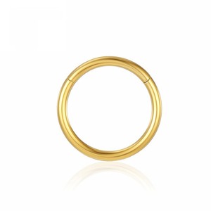 Anneau <span class=keywords><strong>de</strong></span> <span class=keywords><strong>nez</strong></span> rond sans soudure en titane G23, simple, électroplaqué, pour hommes et femmes, bijou <span class=keywords><strong>de</strong></span> piercing <span class=keywords><strong>de</strong></span> <span class=keywords><strong>nez</strong></span> à <span class=keywords><strong>boucle</strong></span> fermée - Product Image 6