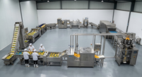 Volledig automatische 304 roestvrijstalen productielijn voor gedroogde mango's: schillen, snijden, suikeren, drogen, tropische fruitverwerkingsfabriek