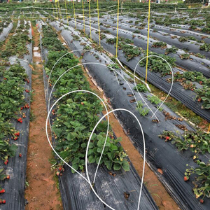 Solid Rod Pole FRP Rod Stick Fiberglass Plant Stake Fiber Bars for Cage - Product Image 5