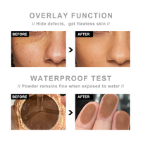 Poudre Compacte Vegan Contrôle Sébum Personnalisable en Usine, Marque Privée, 6 Teintes, Pour Tous Types de Peaux, Maquillage Sheglam