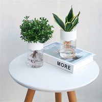 Pot de fleurs hydroponique paresseux à absorption automatique d'eau, pot transparent à double couche en plastique, auto-arrosant, pour bureau