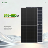 Panneaux solaires industriels Renesola à double verre de type BC, 640W, 650W, 660W, 665W, en forte demande