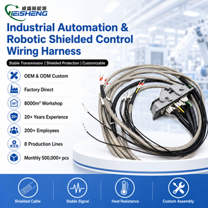 Conjunto de Cabos de Automação Industrial Personalizados para Robótica, Chicote de Controle Blindado OEM - Product Image 1