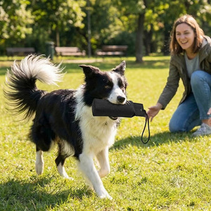 Jouet de mastication et de lancer pour chien, résistant à l'eau et durable, idéal pour l'entraînement à la force de morsure et la dentition – Le plus vendu des fournitures pour animaux de compagnie - Product Image 2