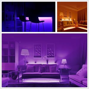 IP65 Waterproof <b>RGB</b> COB LED Strip Light App/WiFi Remote <b>Control</b> Battery Powered High CRI 80 Plastic Body Lighting Light Strings - Product Image 2