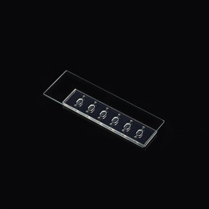 Chip Microfluídico Keyicheng PMMA de 5 Canales para Cultivo de Células Individuales, Uso en Laboratorio - Product Image 2