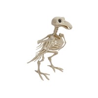 Oiseau corbeau gothique d'Halloween, squelette d'animal, squelette en résine, classique, grandeur nature, corps entier, articulations mobiles, lettrage en relief