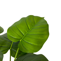 Arbre Bonsaï Pothos Artificiel Décoratif de 60cm avec Feuilles en Plastique pour Affichage de Table Plante Artificielle pour la Décoration Intérieure