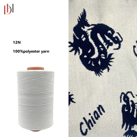 Vente directe d'usine en Chine, fil chenille fantaisie 12N de haute qualité, 100% polyester, uniformité forte, vente en gros