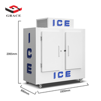 Armoire de stockage de glace à deux portes à température unique GRACE, refroidissement direct, acier inoxydable/plastique antirouille, utilisation en restauration