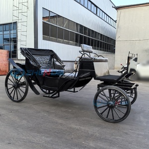 Carruaje de Caballos de Doble Fila para Paseos Turísticos, Uso Común en Bodas de Hotel, Carruaje Romántico de Cenicienta, ¡Gran Venta! - Product Image 4