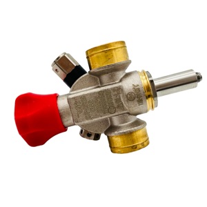 Válvula Solenoide <span class=keywords><strong>de</strong></span> Gas Natural CTF-XD12C con Limitador <span class=keywords><strong>de</strong></span> Flujo PN20 DN5 al Mejor Precio - Product Image 1