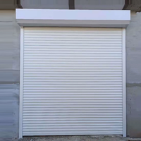 Porte à enroulement automatique haute sécurité personnalisable en alliage d'aluminium antivol pour entrepôt industriel et commerce