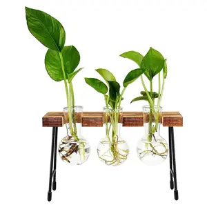 retro solid wood mini bench holder desktop bud hydroponic air separation terrarium plant propagation station glass bulb vase