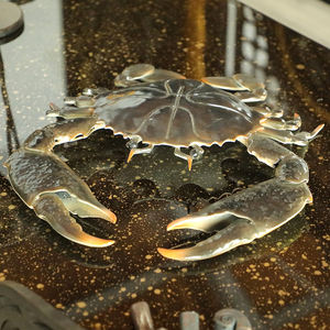 שערים מודרניים בעבודת יד מברזל יצוק, עיצובים של שערי ברזל, שער גינה מברזל לחווה ולבית גן, שער כניסה ראשי - Product Image 4