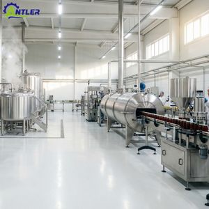 Ligne de production complète de petite capacité pour la confiture de figue de Barbarie avec machine de remplissage et d'emballage en bocaux en verre - Product Image 6