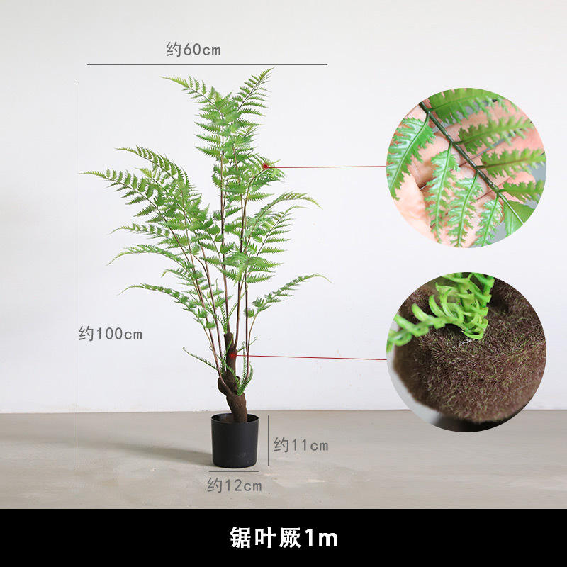 Moss root + flexible rod pro giant fern 1m