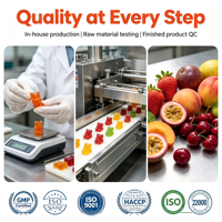 Gummies multivitaminées sans sucre pour enfants, marque privée, OEM, 120 unités, oursons gommeux aux fruits mélangés avec inositol pour le cerveau et la croissance