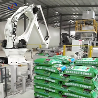 Robot de palettisation à commande servo, moteur de boîte de vitesses PLC pour un positionnement précis, longue durée de vie, haute efficacité, fonctionnement continu