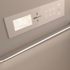 Ascensor de Pasajeros con Tracción Eléctrica de 400kg/600kg, Elevador Residencial para Interiores y Exteriores, para 2-6 Personas - Product Image 5