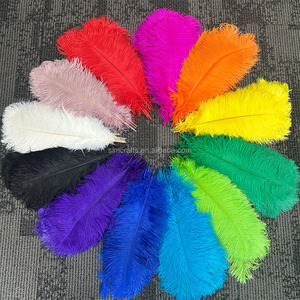 Plumas de Avestruz Naturales Teñidas al por Mayor de 40-45 cm, Multicolores, para Centros de Mesa de Boda, Disfraces de Carnaval y Decoración - Product Image 2