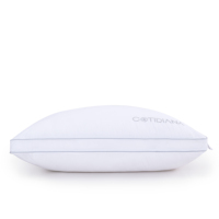 Grande promotion sur les nouveaux oreillers de lit d'hôtel innovants avec motif solide et soutien du cou