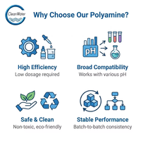 Coagulant Cationique Polyamine Liquide 50% pour la Décoloration des Eaux Usées par Flotation à Air Dissous, Formule Personnalisée, Service OEM