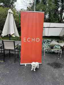 High Quality Aluminum Alloy Retractable <b>Roll</b> Banner Custom Print UV High Resolution Portable <b>Tool</b>-Free Assembly Display - Product Image 5
