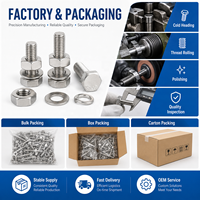 M6 M8 M10 Grade 8 Custom Stainless Steel Hexagon Ss 304 Nut and Bolts Hex Head Allen Flush Bolt and Nut Manufacturers and Fasten