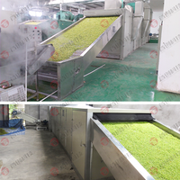 Sécheuse à épices de 15 tonnes de capacité pour la séchage de la laurier, du romarin, du persil, du basilic et du thym