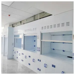 Top bán fume Hood phòng thí nghiệm đồ nội thất hóa chất fume tủ/PP fume Hood