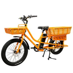 24 Inch 750W Dual Lithium Batteries Food Ebike 250w Ebike Cargo Delivery Family Electric Bike Shimano 7 Speed Long Range