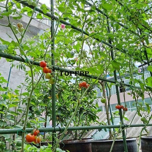 Piquets de jardin personnalisés de 8 mm, 11 mm, 16 mm, 20 mm, en acier recouvert de plastique, pour soutenir les plantes - Product Image 5