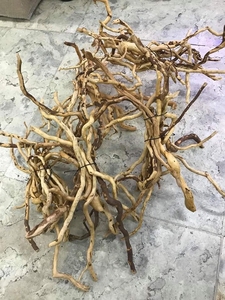 Groothandel Kwaliteit Geel Aquarium Azalea Wortel - Product Image 4