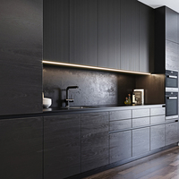 Designs de cuisines australiennes avec armoires en laque noire de luxe