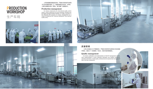 Haccp Trung Quốc Rau Đông Lạnh Brc Chứng Nhận Toàn Bộ Dice Dán Puree Cube Gừng Đông Lạnh - Product Image 5