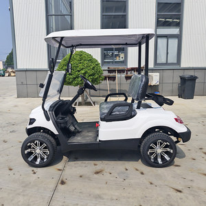 Carrito de Golf Eléctrico de Dos Plazas Personalizable 2026 con Motor de 3500W-7500W y Batería de Litio, Personaliza Cada Detalle para tu Viaje - Product Image 6
