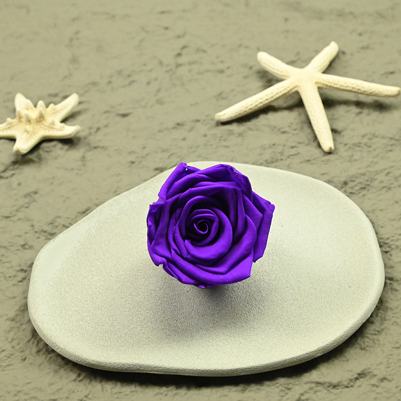 3-4 magnifiques violets