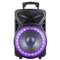 Altavoz portátil de 15 pulgadas y 200W para Karaoke, sistema de sonido para DJ, con LED, micrófono, batería ECHO