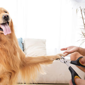 ציפורניים לחיות מחמד טופר חותך נירוסטה טיפוח מספריים גוזם כלב קוצץ ציפורניים לחיות מחמד טופר אספקת מסמר - Product Image 5