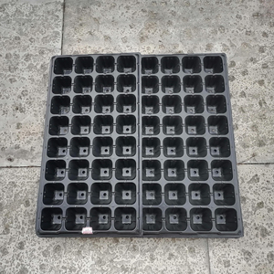 Plateau de plantes à 32 cellules, plateau de semis, plateau de germination pas cher en gros plastique PET Chine échantillon gratuit plateau de semences plastique dur 60mm - Product Image 4