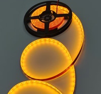 Bande lumineuse LED intelligente dorée 60 LED/m, IP65, 8 mm, cuivre, télécommande, DC12V, pour décoration
