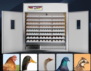 Nouvel incubateur automatique <span class=keywords><strong>Gongle</strong></span> GL-1056 pour œufs de volaille, capacité de 88 à 5280 œufs, alimentation solaire/électrique, pour œufs de poulet - Product Image 6