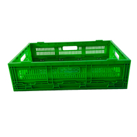 Conteneur en plastique perforé pliable, empilable et emboîtable, économique, recyclable, écologique et ventilé